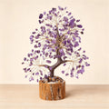 Spiritual Awareness - Feng Shui Tree